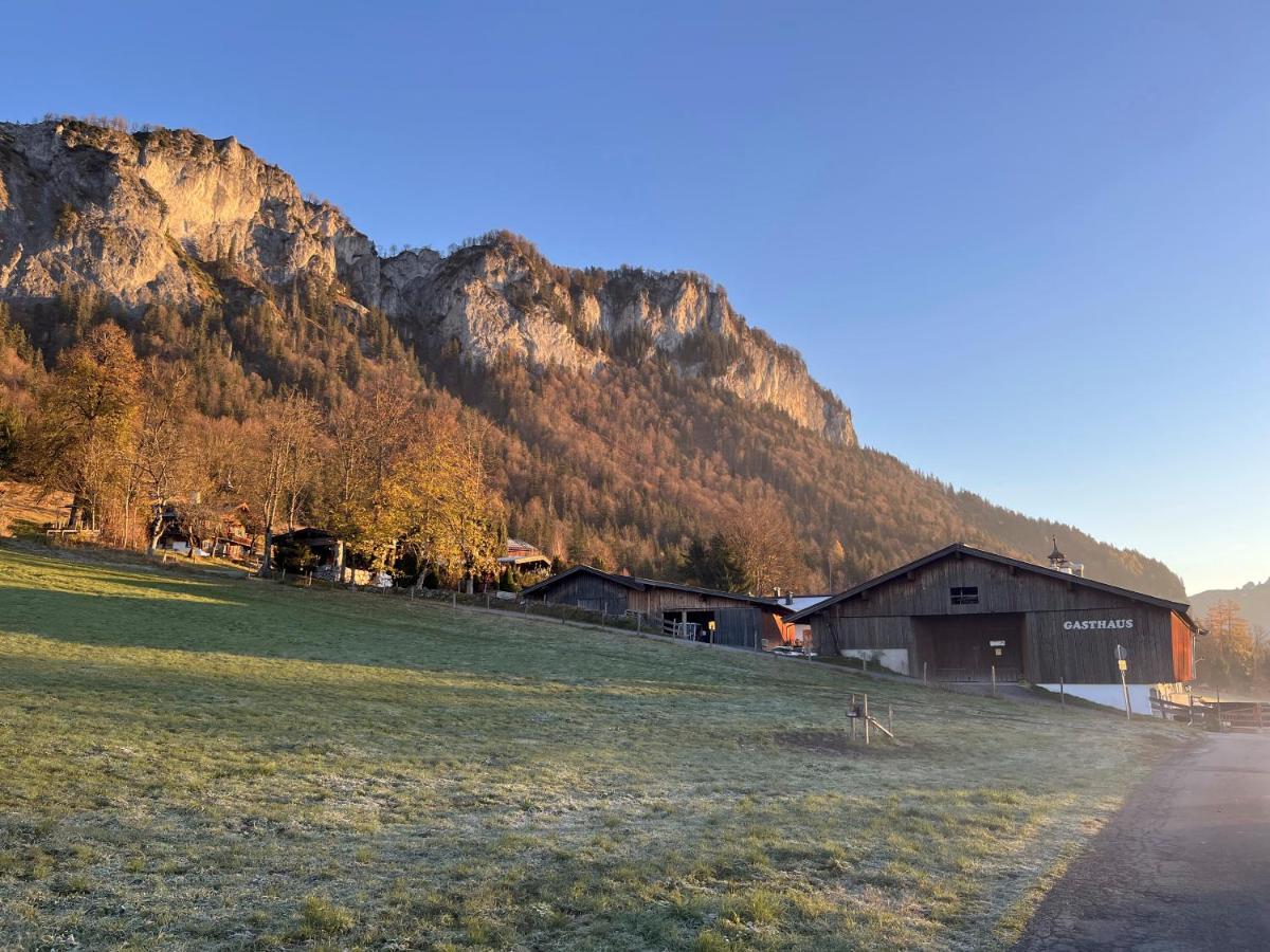 Bergliebe